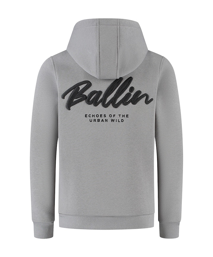 Jongens hoodie grijs