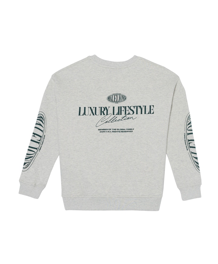 Jongens sweater grijs
