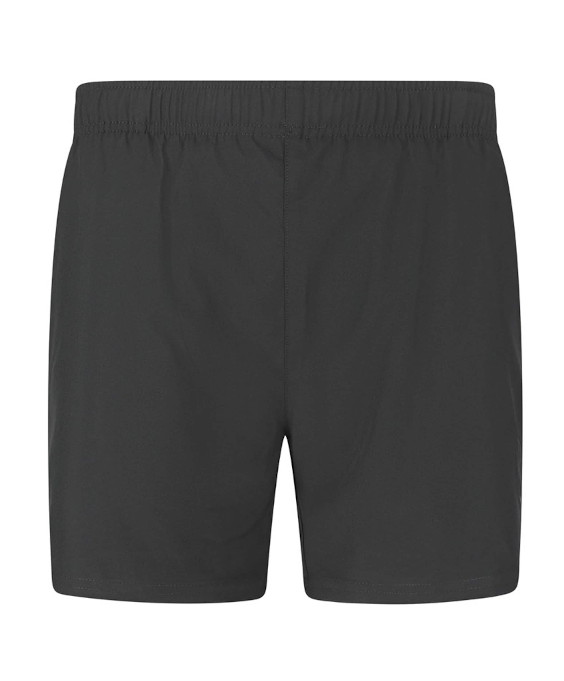 Zayne V2 M 2-in-1 Shorts heren short zwart