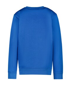 Sweater blauw
