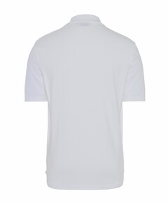 Polo wit