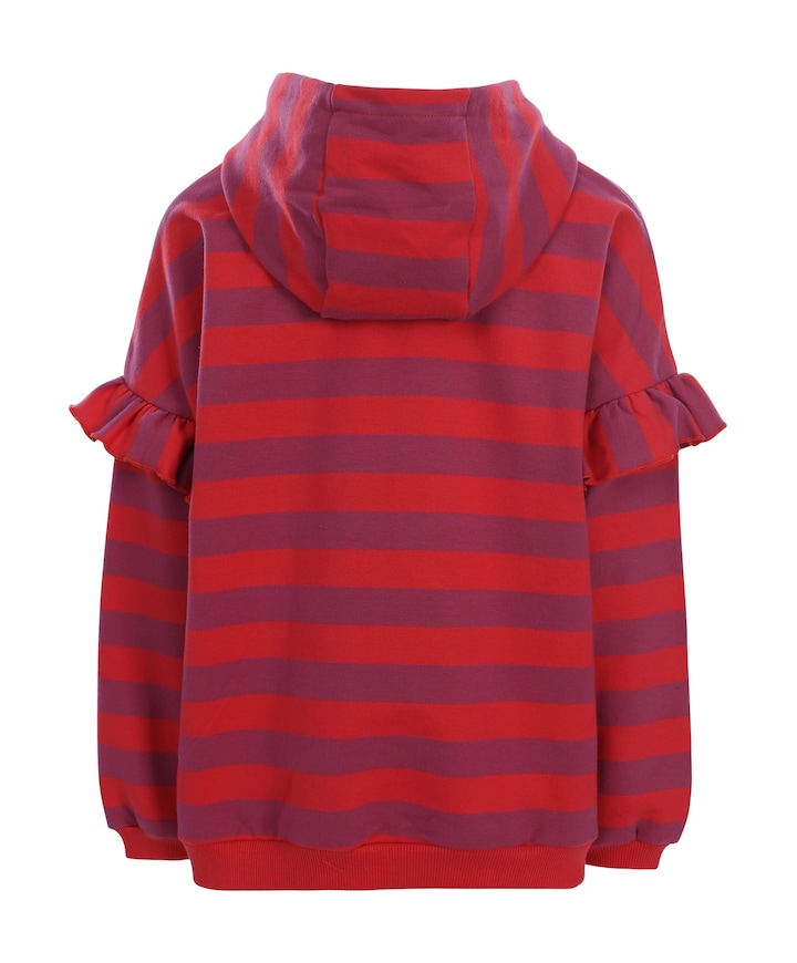 Meisjes hoodie multicolor
