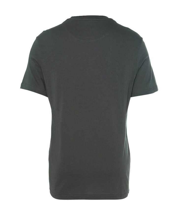 Heren t-shirt grijs