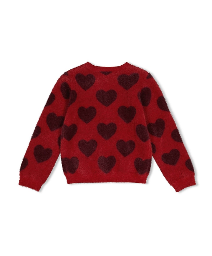 Meisjes vest rood