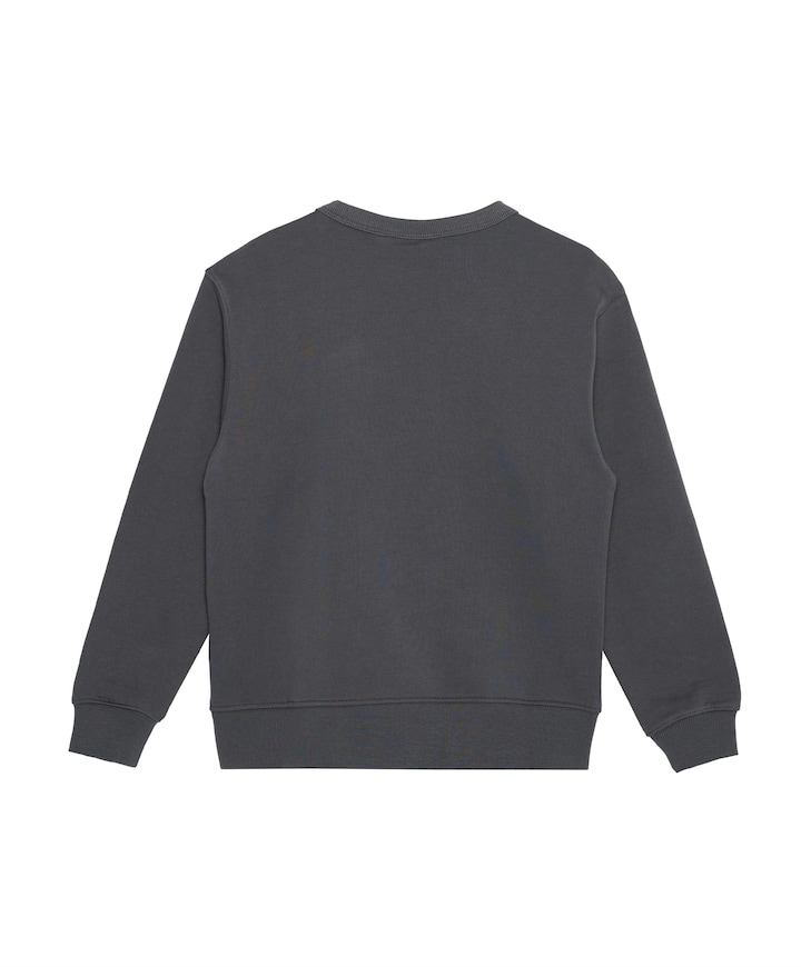 Jongens sweater grijs