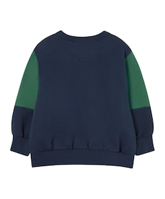 Jongens sweater blauw