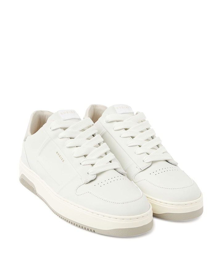 Basket Cole (M)  heren sneakers wit