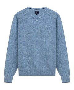 Heren trui blauw