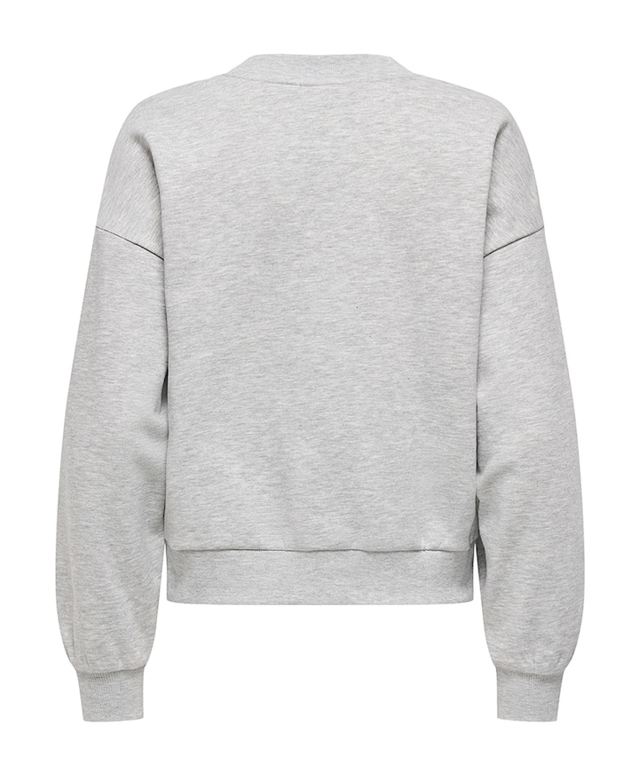 Dames sweater grijs