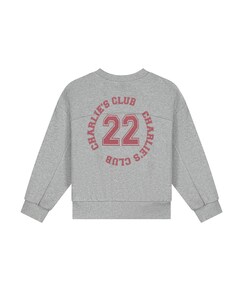 Jongens sweater grijs