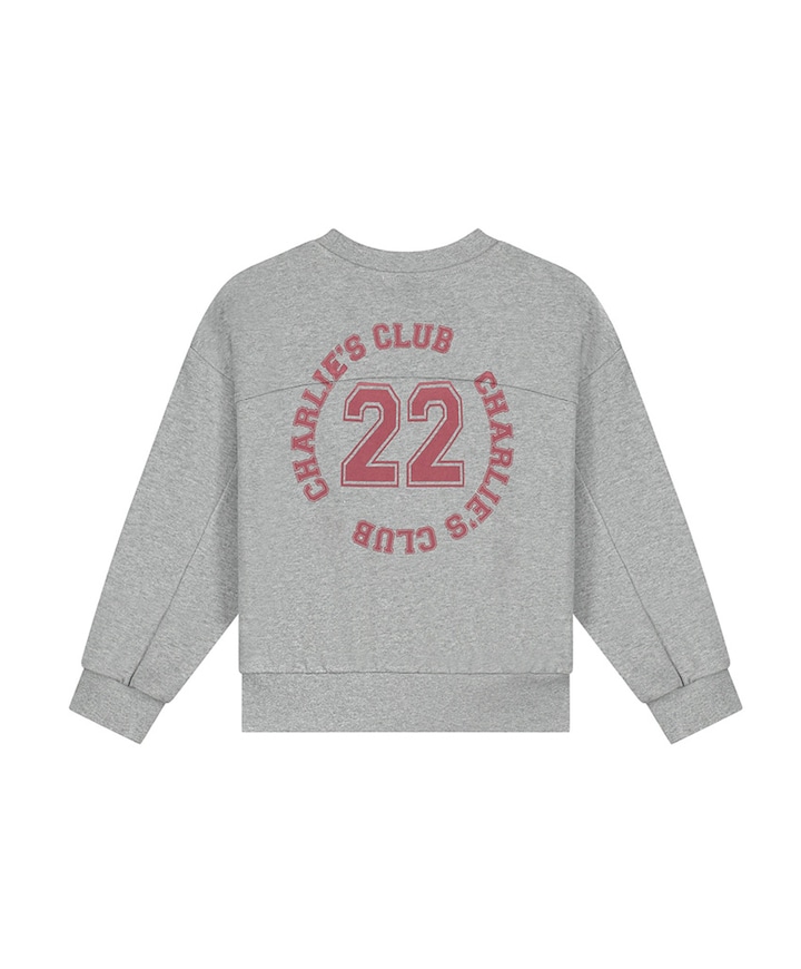 Jongens sweater grijs