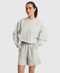Dames sweater grijs