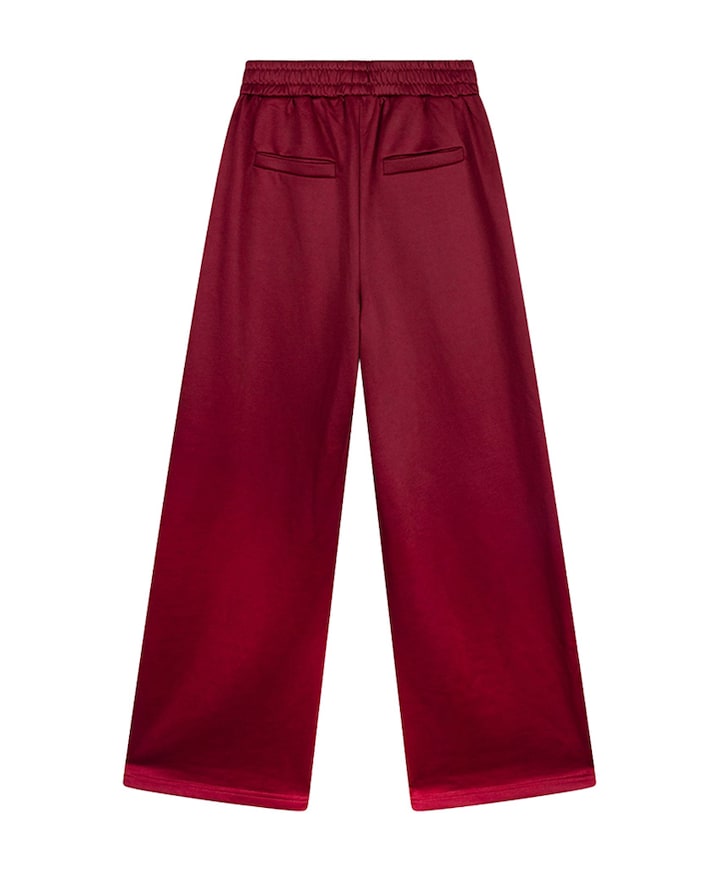 TRAINING SWEAT broek bordeaux