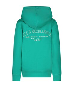 Hoodie groen