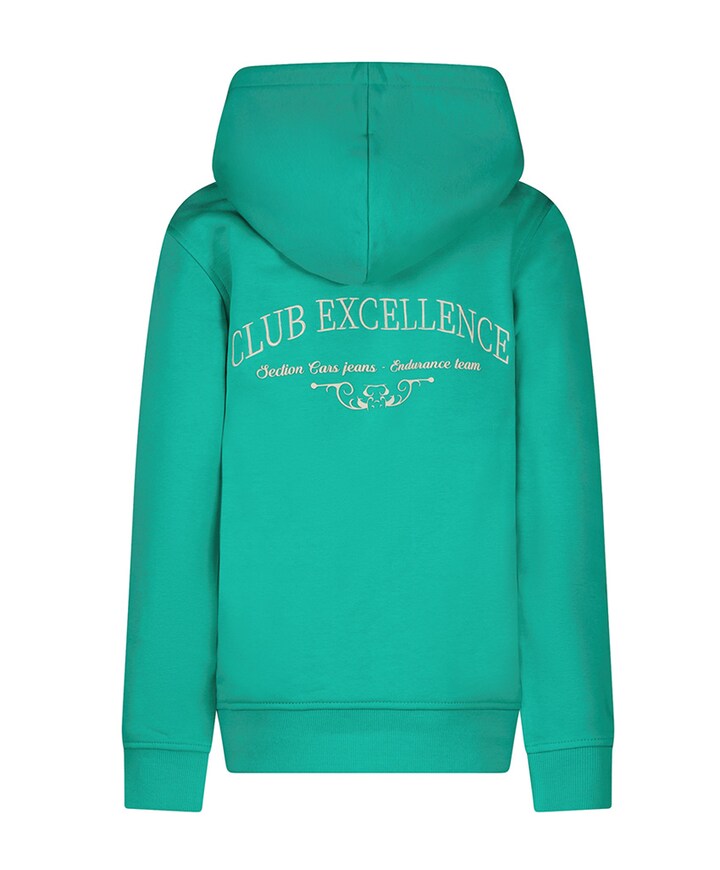 Hoodie groen