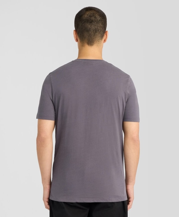Heren T-shirt grijs