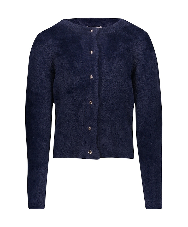 Meisjes vest blauw