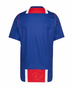 Heren T-shirt blauw