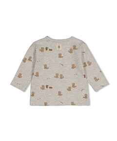 Jongens longsleeve grijs