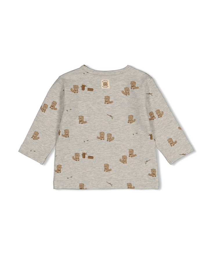 Jongens longsleeve grijs