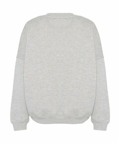 Dames sweater grijs