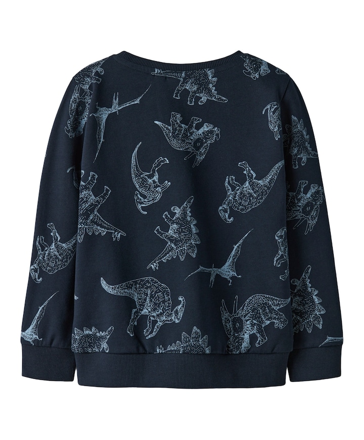 Jongens sweater blauw
