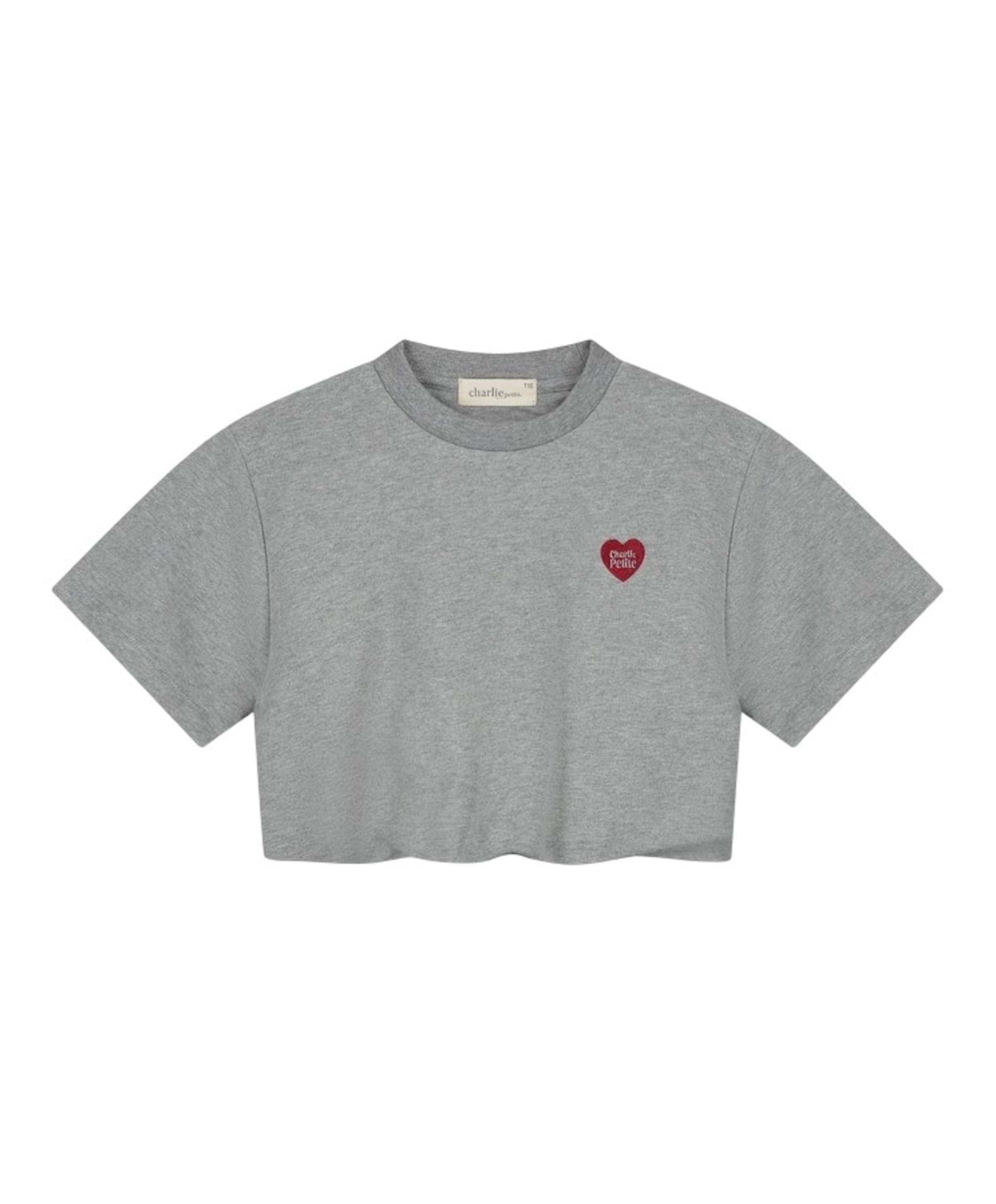 Meisjes T-shirt grijs