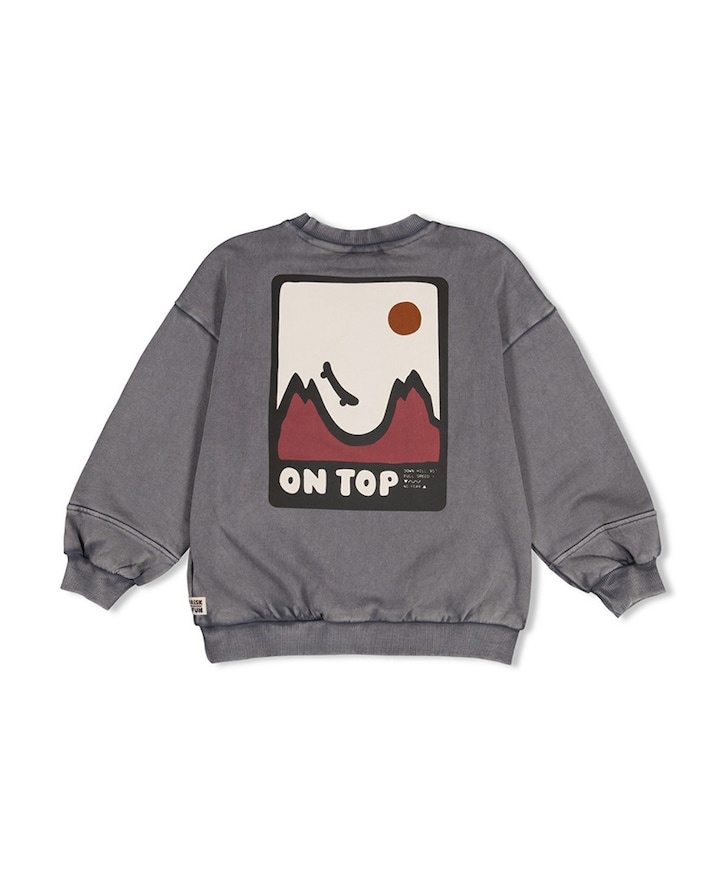 Jongens sweater grijs
