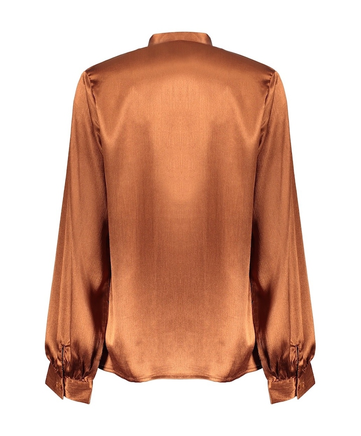 Dames blouse bruin
