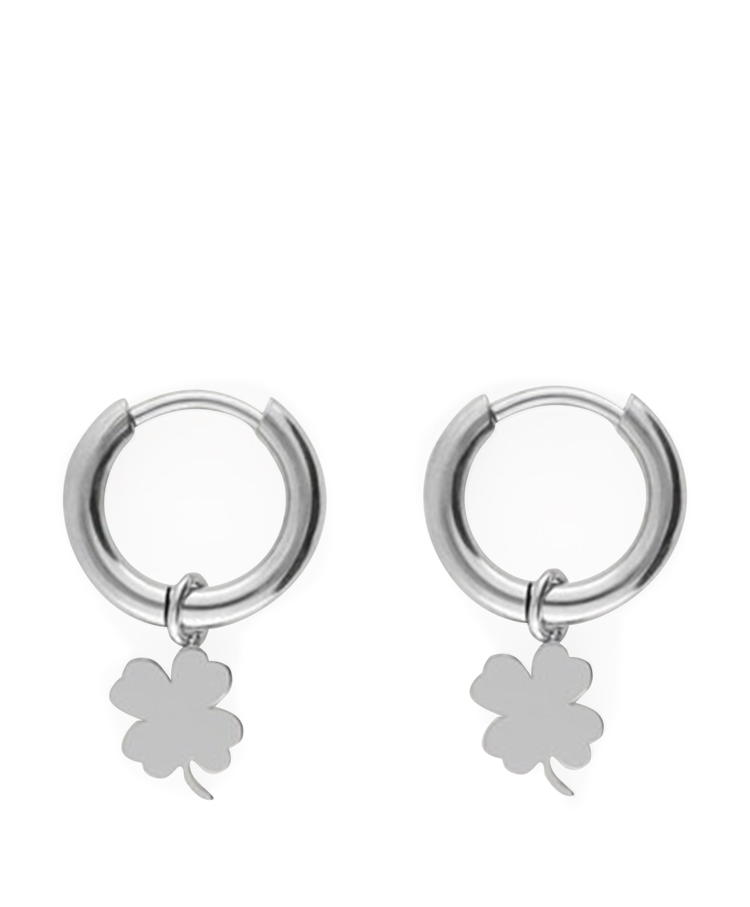 Dames oorbellen zilver