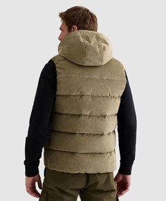 Heren bodywarmer groen