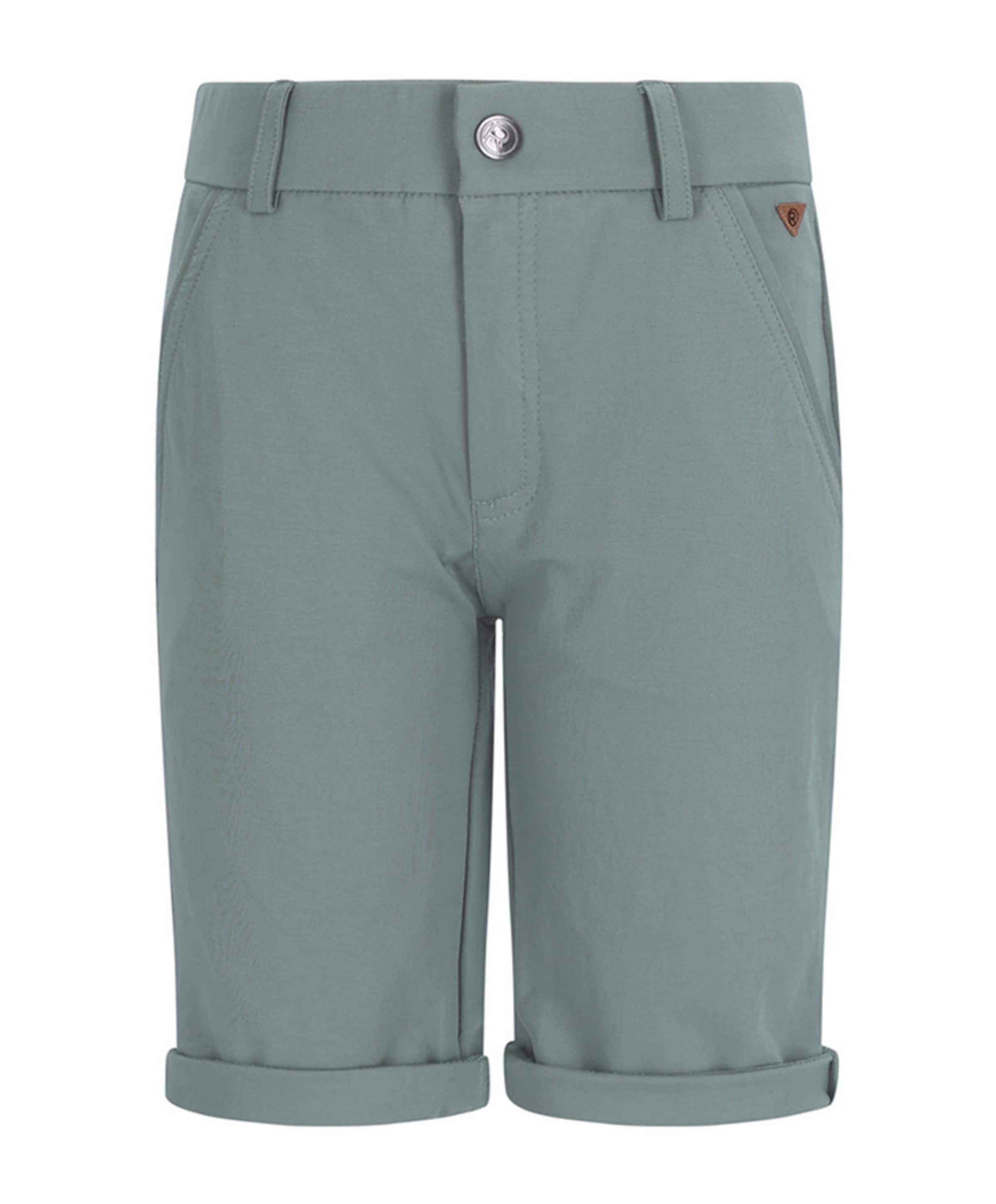 Ted jongens korte broek groen