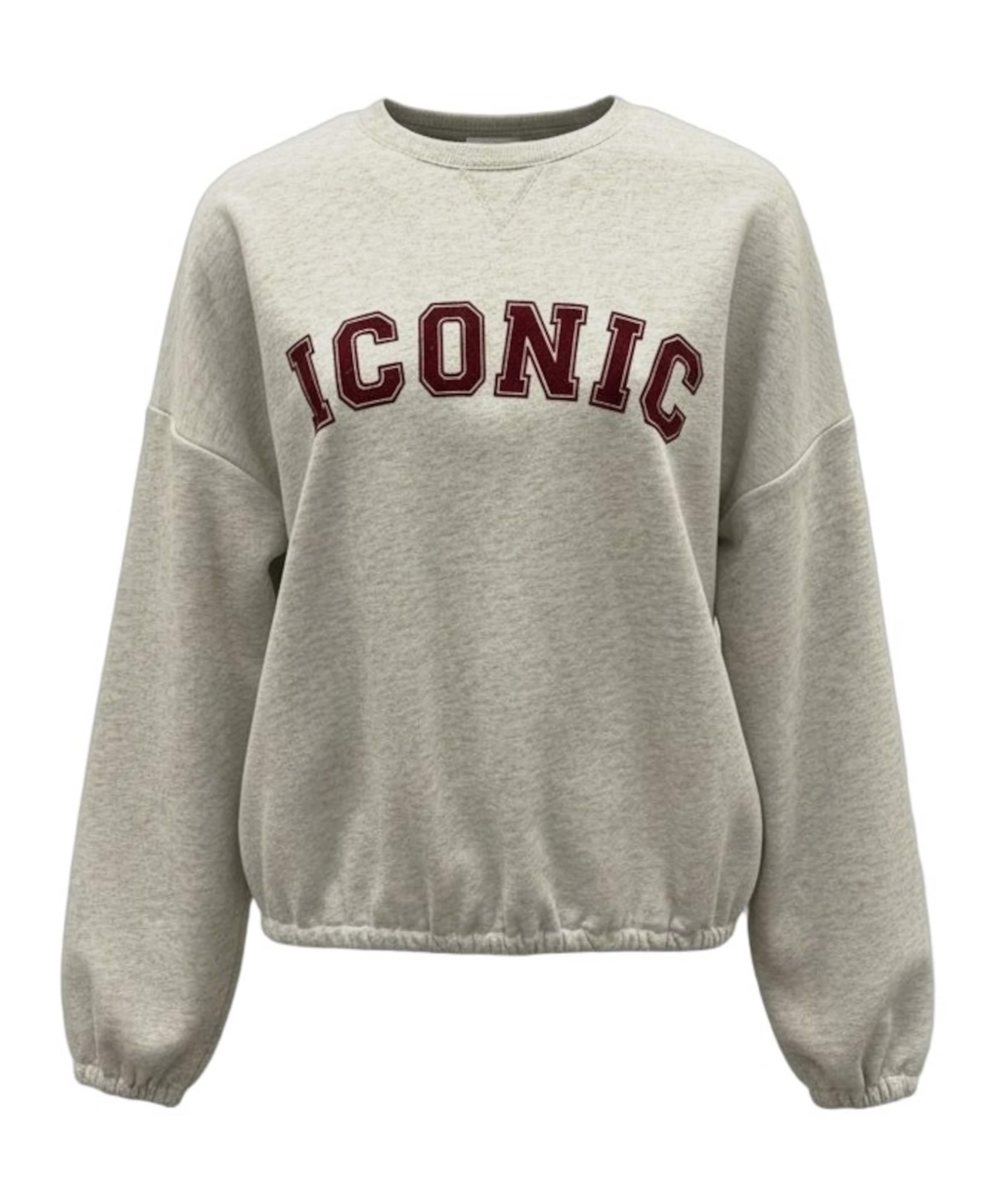Dames sweater grijs