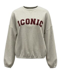 Dames sweater grijs