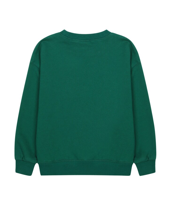 Sweater groen
