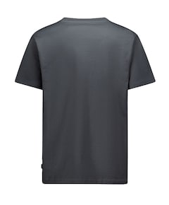 Heren T-shirt grijs