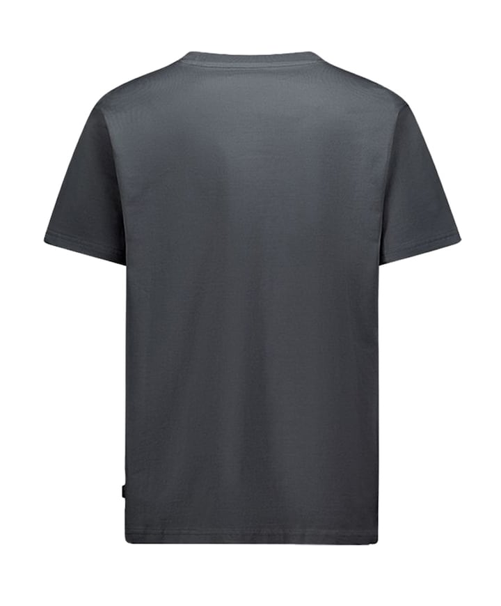 Heren T-shirt grijs