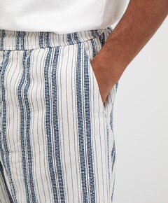 Alex Stripe Short heren korte broek blauw