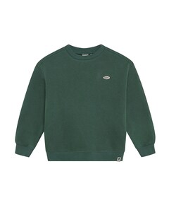 Jongens sweater groen