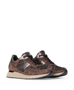 sneakers bruin