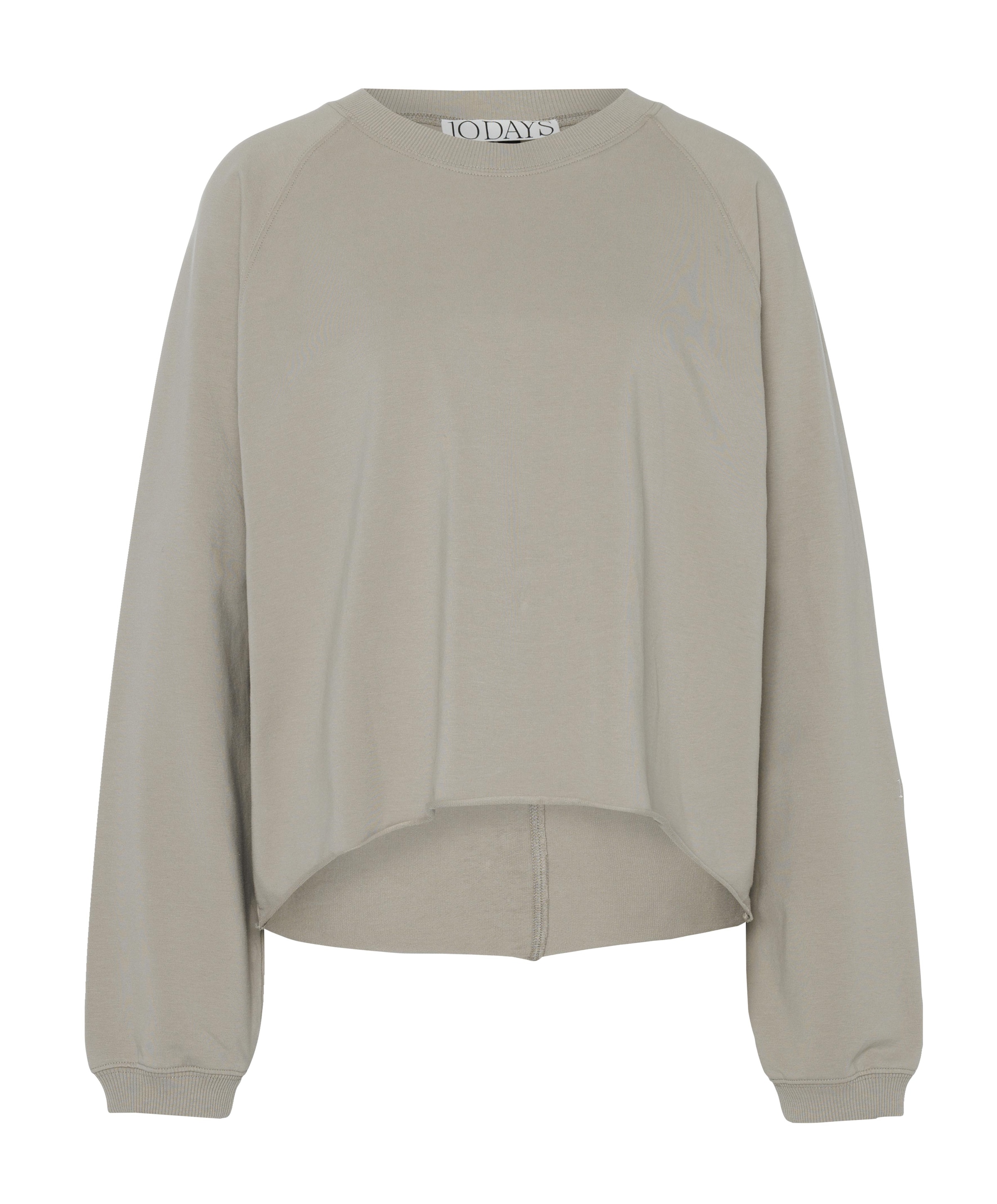 Dames sweater grijs