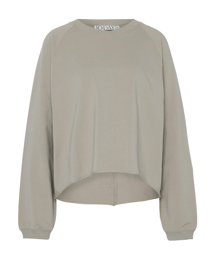 Dames sweater grijs
