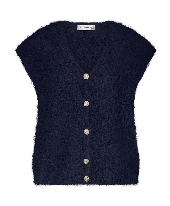 Gilet blauw