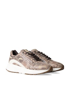 Bailey dames sneakers bruin