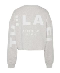 Dames sweater grijs