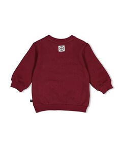 Jongens trui bordeaux