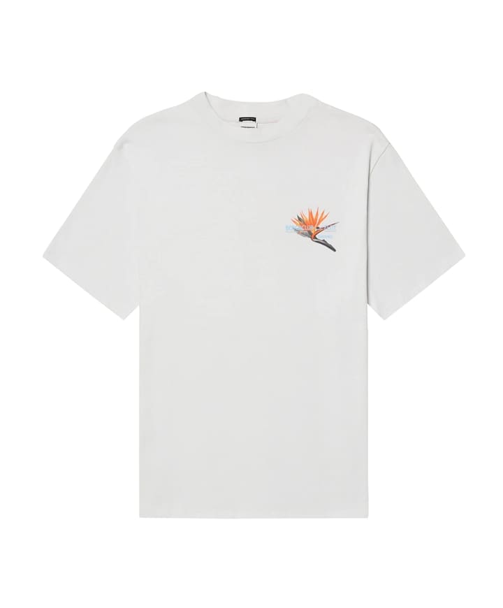 Heren T-shirt grijs