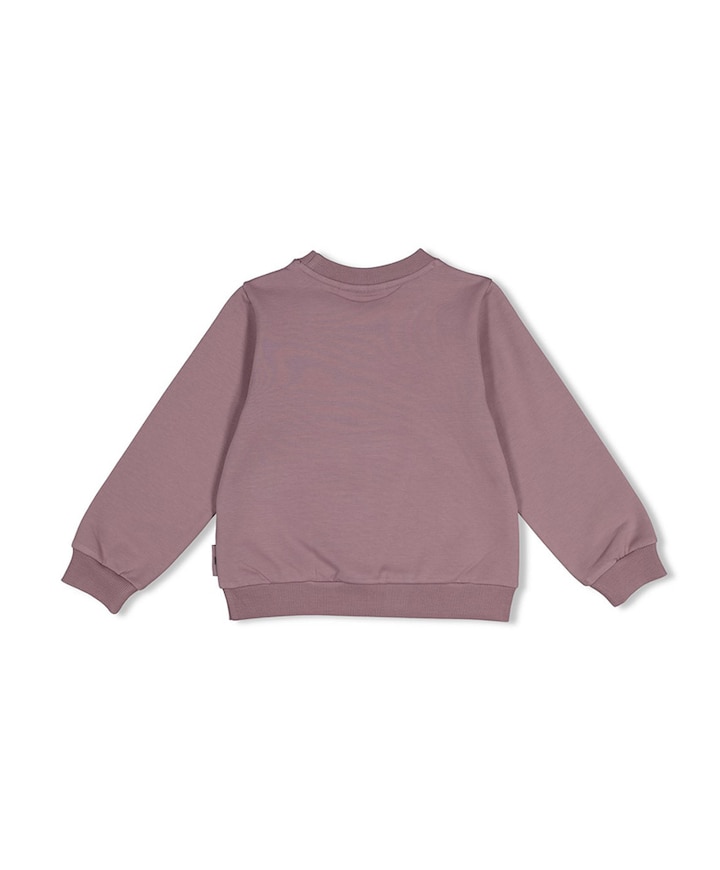 Meisjes sweater paars
