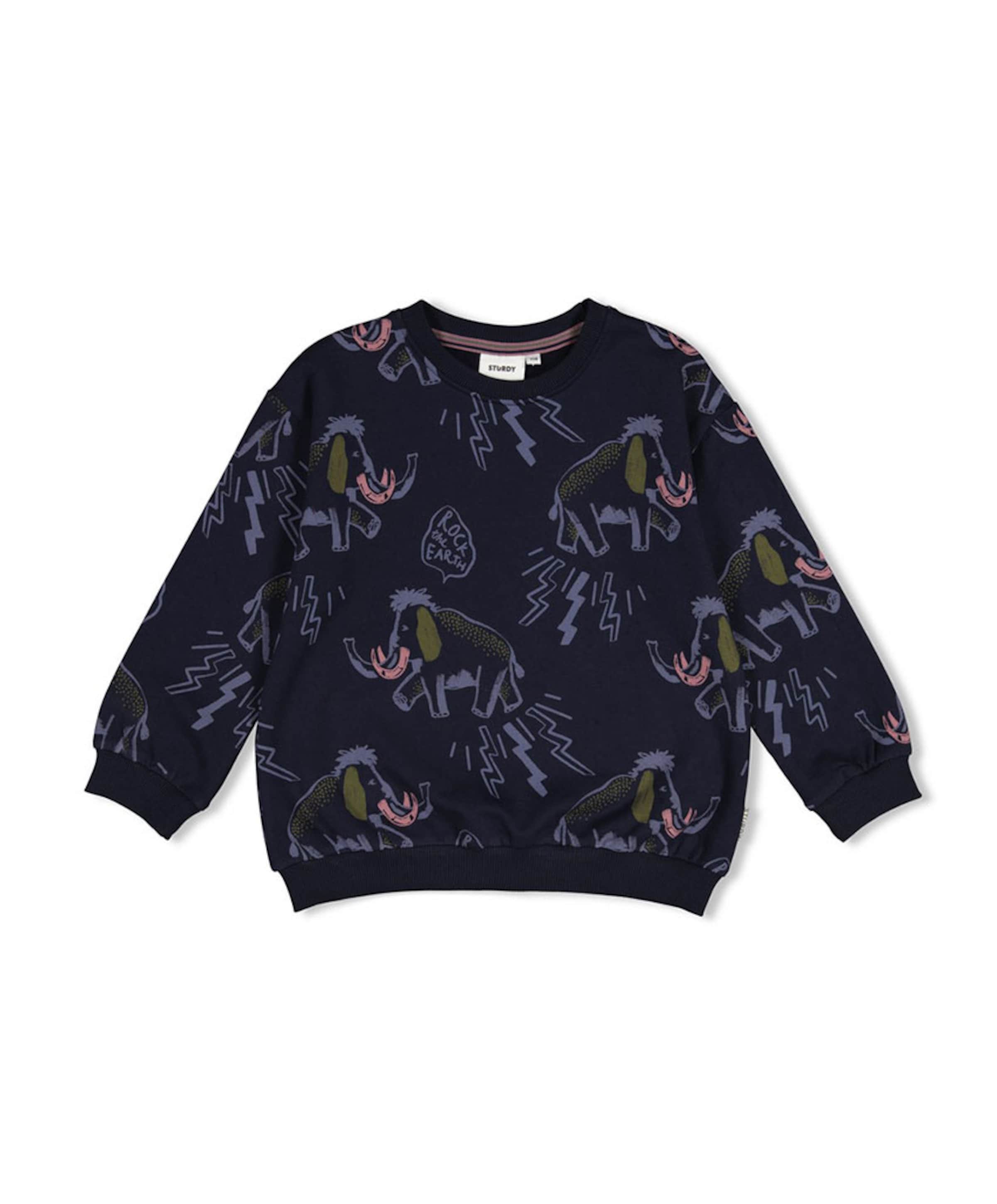 Jongens sweater blauw