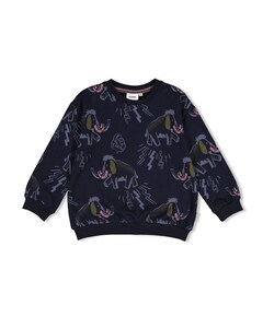 Jongens sweater blauw